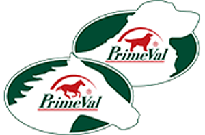 Primeval